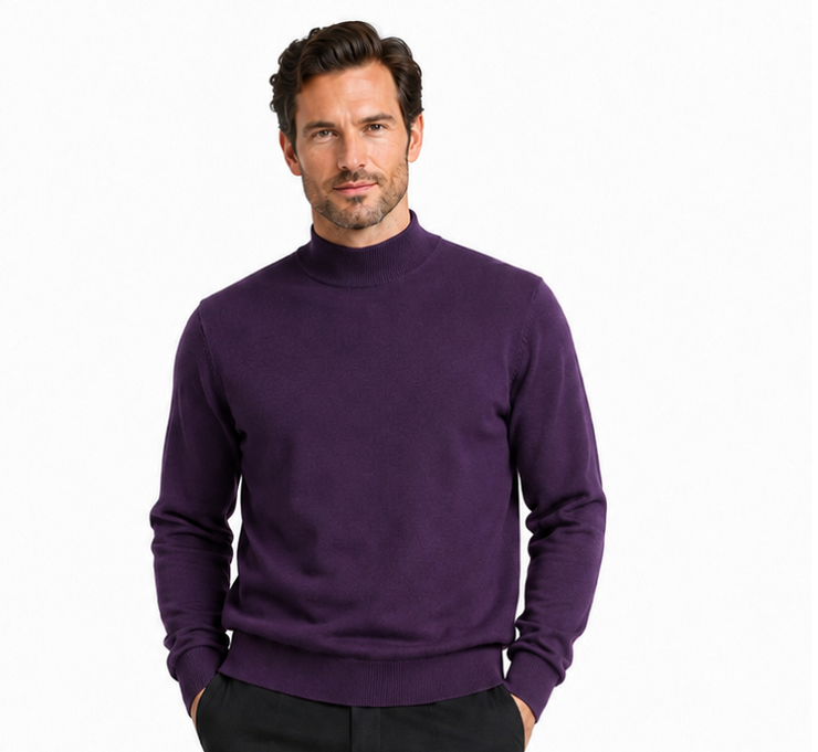 Bassiri Mock Neck Men's Sweater - Solid Pattern Purple #630