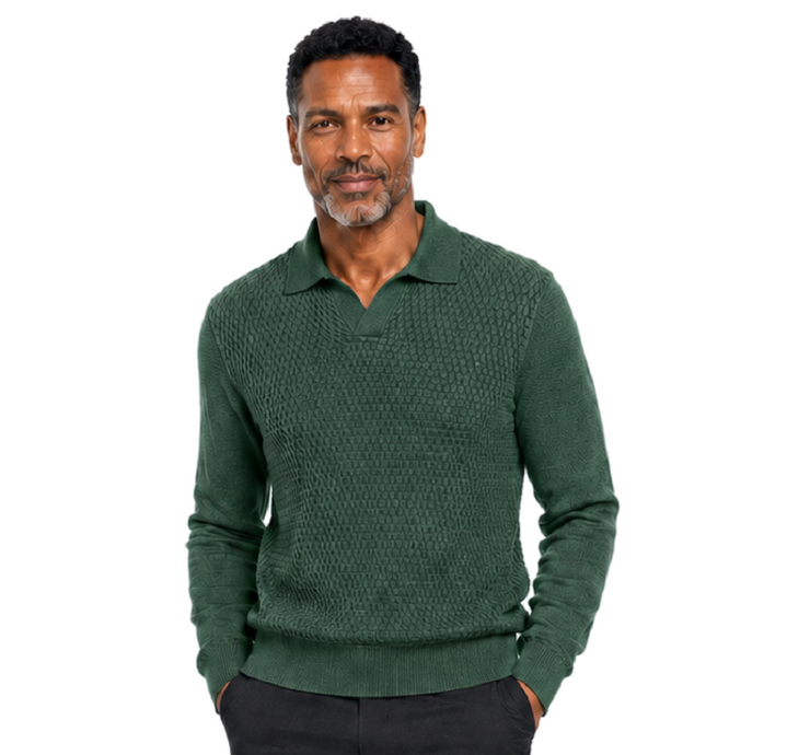 Bassiri Collar Neck Men's Sweater - Textured Honeycomb Pattern Olive #640