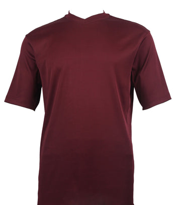 Log In Short Sleeve V Neck Men's T-Shirt - Solid Pattern Plum #219
